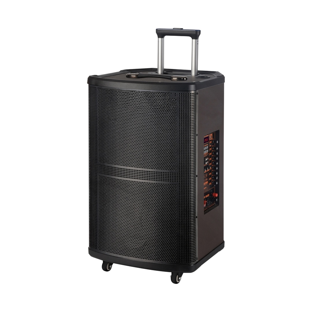 CAJA AMPLIFICADA 12''