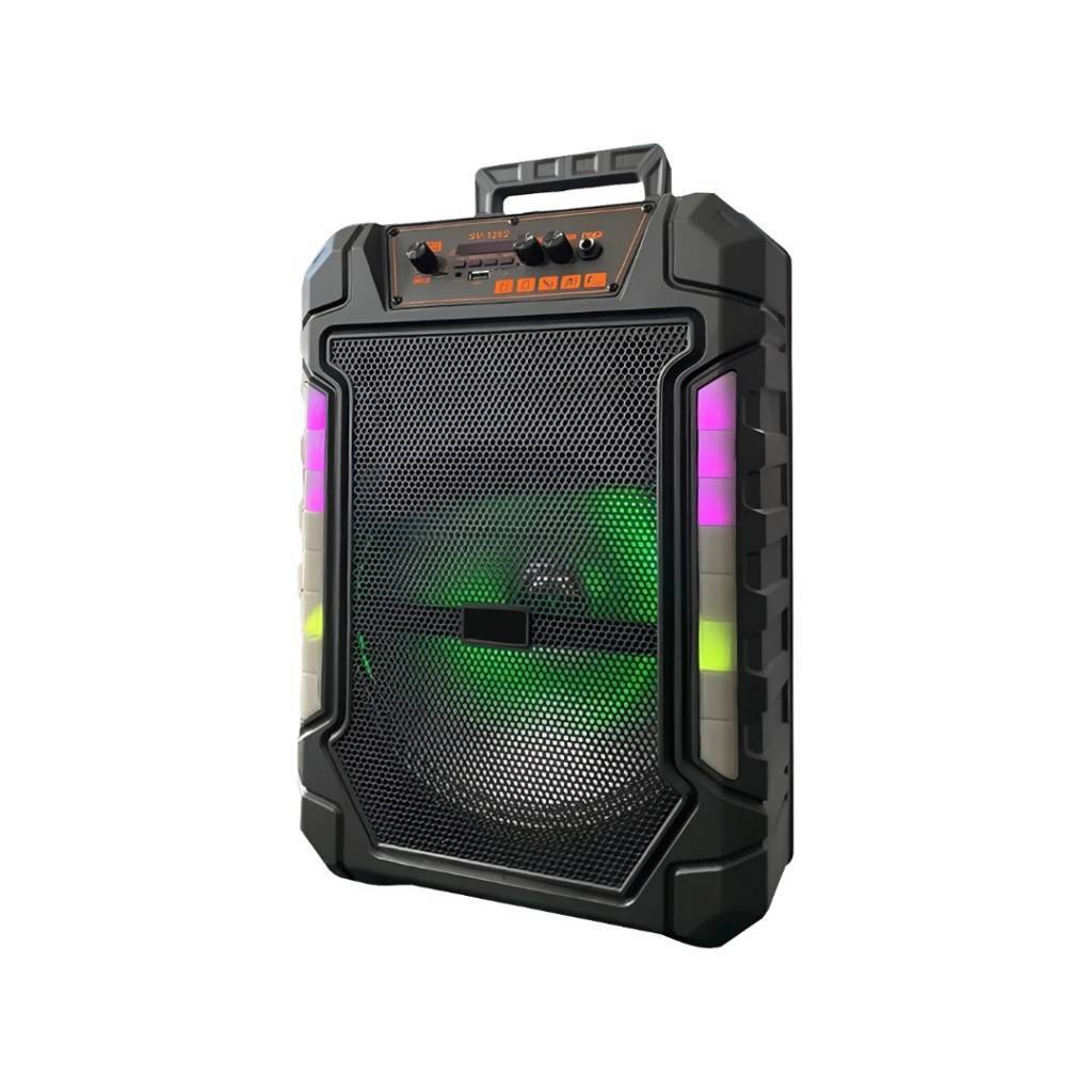 CAJA AMPLIFICADA 12''