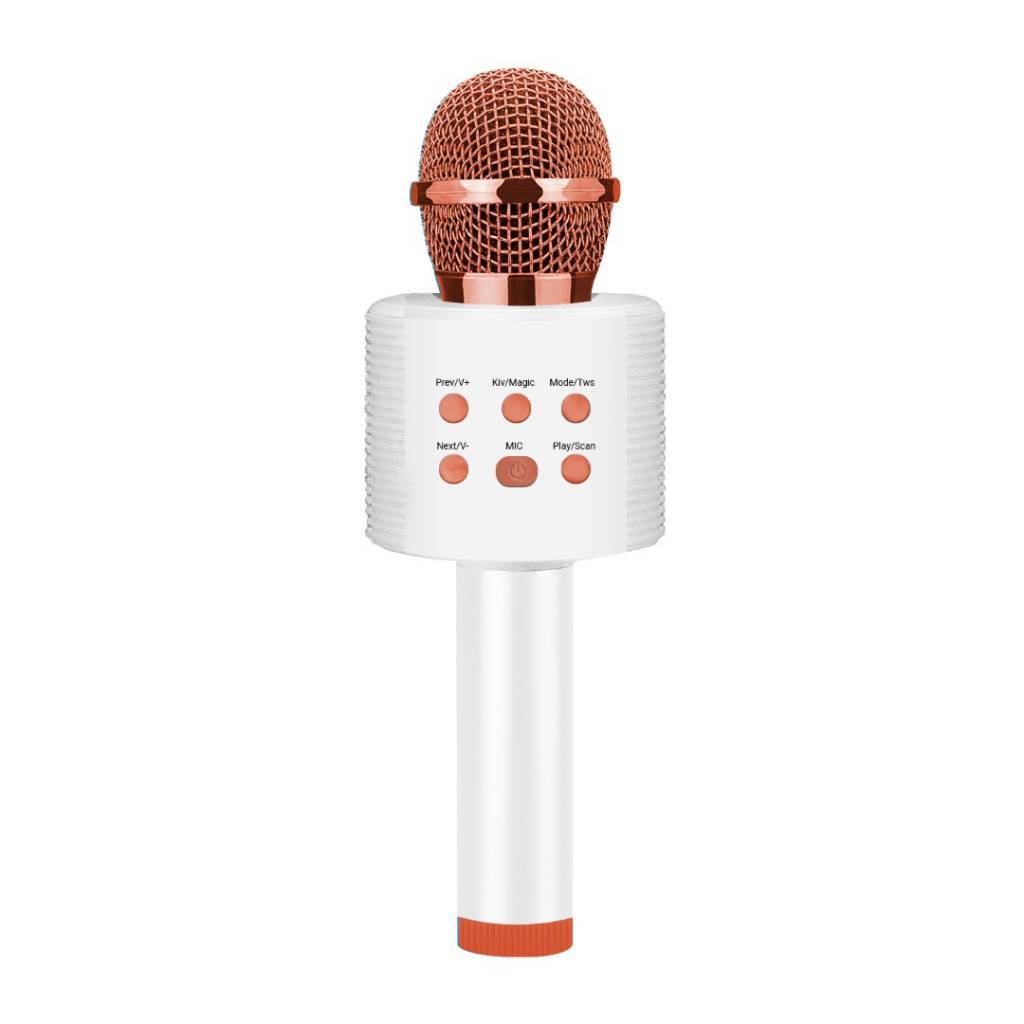 MICRÓFONO INALÁMBRICO PARA KARAOKE CON ALTAVOZ