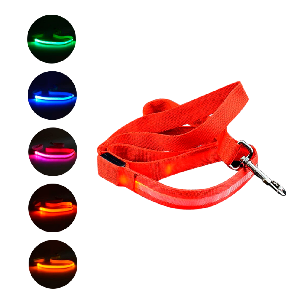 CORREA PARA MASCOTAS CON LUZ LED